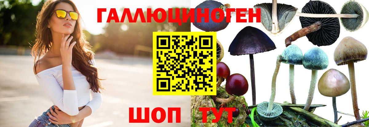 сколько стоит  Псилоцибиновые грибы мухоморы  Вход с VPN  Борзя 